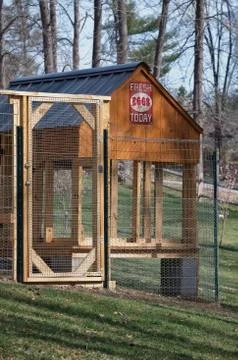 Backyard chicken coop Stock Photos