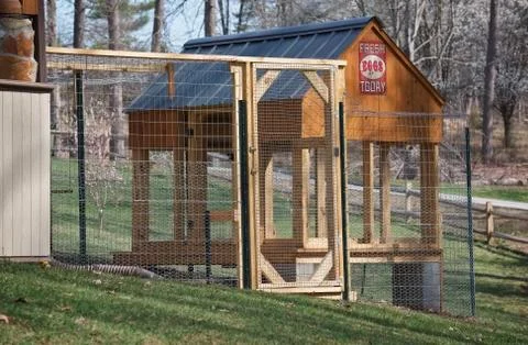 Backyard chicken coop Stock Photos