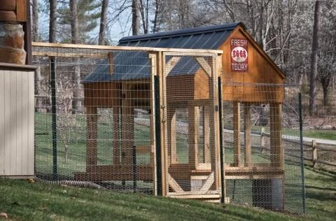 Backyard chicken coop Stock Photos