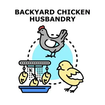 Backyard chicken husbandry vector icon concept Stock Illustration