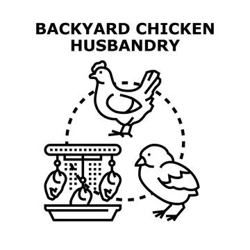 Backyard chicken husbandry vector icon concept Stock Illustration