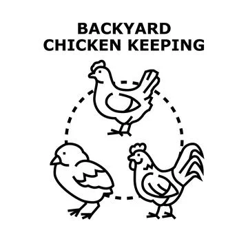 Backyard chicken keeping and poultry farming concept Stock Illustration