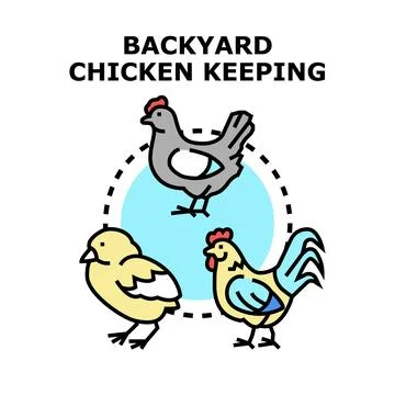 Backyard chicken keeping and poultry farming concept Stock Illustration