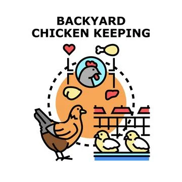Backyard chicken keeping for egg and meat production Stock Illustration