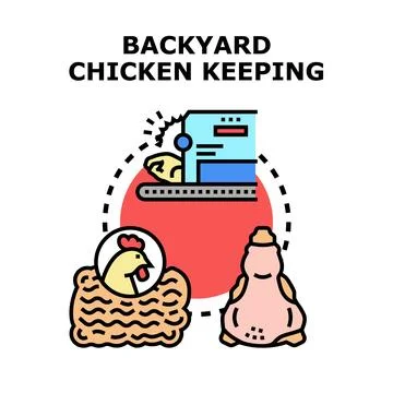 Backyard chicken keeping producing fresh eggs and meat Stock Illustration