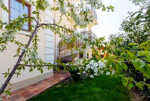 The backyard of a classic cottage in the spring. In front of the cottage is a Stock Photos
