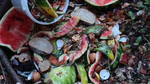 Backyard composter. Vegetable and fruit wastes Stock Footage 92882853