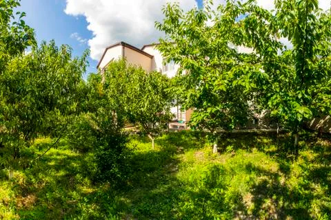 The backyard of the cottage is full of fruit trees and green grass on a brigh Stock Photos