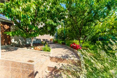 The backyard of the cottage is full of fruit trees and green grass on a brigh Stock Photos