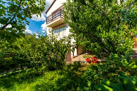 The backyard of the cottage is full of fruit trees and green grass on a brigh Stock Photos