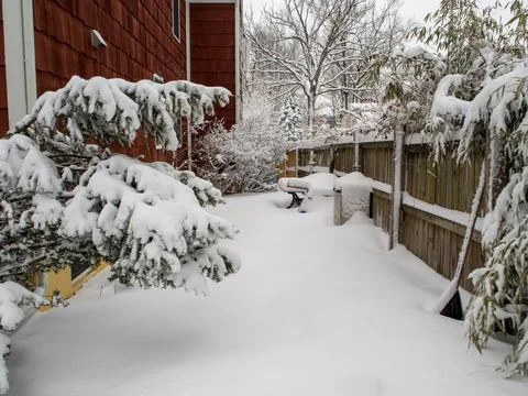 Backyard covered with snow during the snow storm in winter Stock Photos