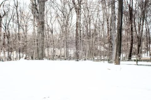 Backyard covered with snow in winter Stock Photos