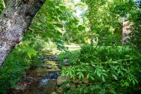 Backyard Creek Foto stock
