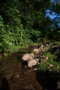 Backyard Creek Stock Photos