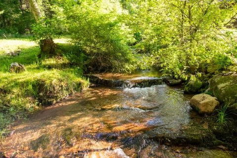 Backyard Creek Stock Photos