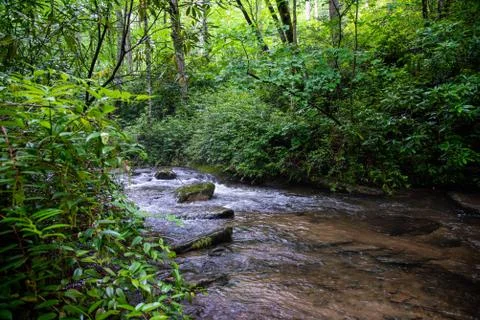 Backyard Creek Stock Photos