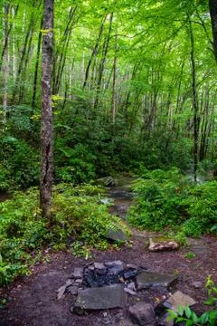 Backyard Creek Stock Photos