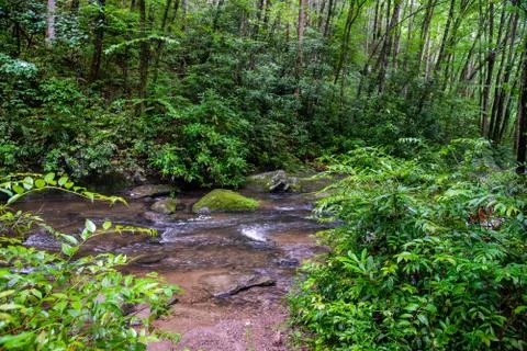 Backyard Creek Stock Photos