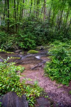 Backyard Creek Stock Photos