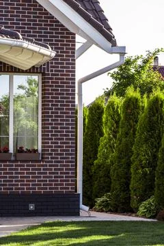 Backyard design elements Stock Photos