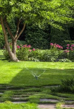 Backyard design elements Stock Photos