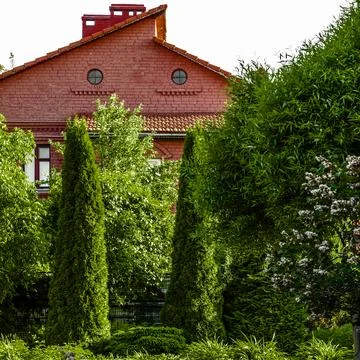 Backyard design elements Stock Photos