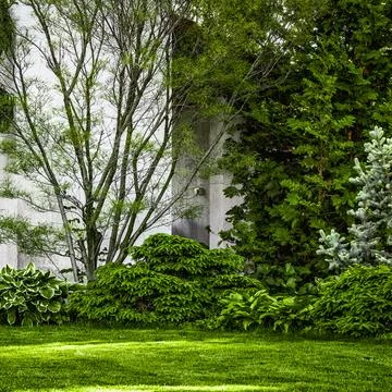 Backyard design elements Stock Photos