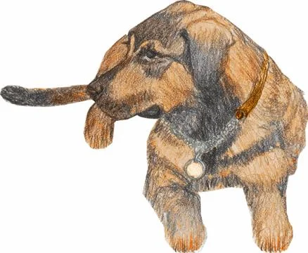 Backyard dog Illustrazione stock