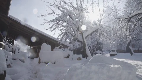 Backyard during winter Vídeo Stock 92299880