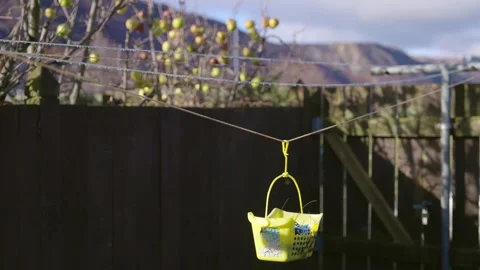 Backyard empty clothes line with yellow box for clothes pins or clamps in winter Stock Footage 289416257