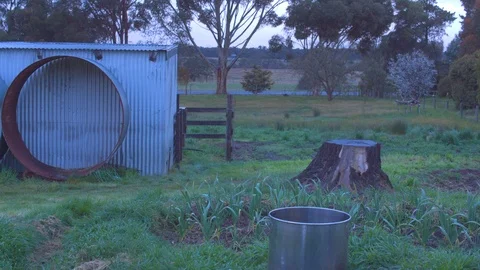 Backyard of a farm at dawn Video stock 87120386