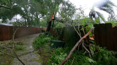 Backyard Fence damaged by fallen tree 3 Stock Footage 305187324