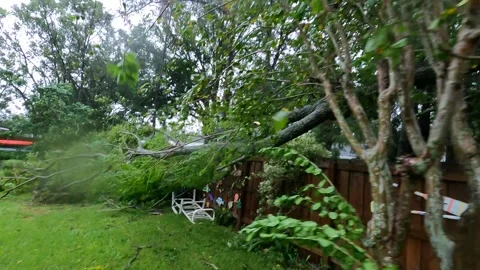 Backyard Fence damaged by fallen tree Stock Footage 305187365