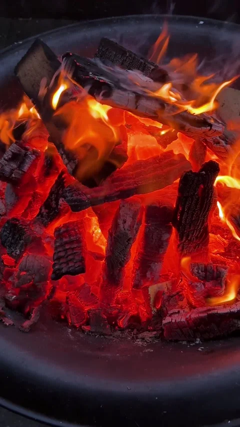 Backyard fire pit Stock Footage 326354319