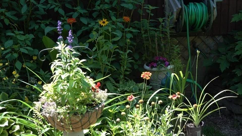Backyard Flower Garden Stock Footage 111393871
