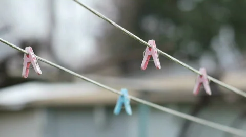 In the backyard. Stock Footage 646896