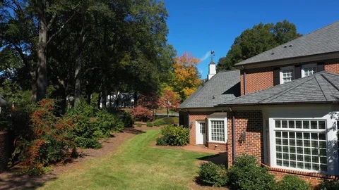 Backyard Stock Footage 99829569