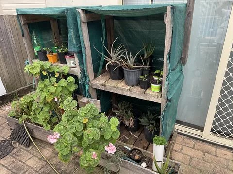 Backyard Garden 1 库存照片