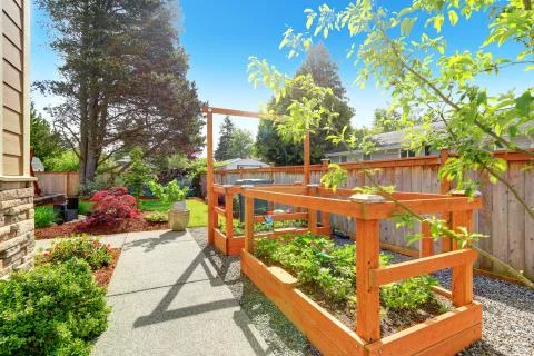 Backyard garden bed with trellis Stock Photos
