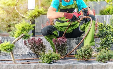 Backyard Garden Drip Irrigation System Building 写真素材