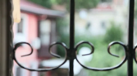 Backyard Garden Stock Footage 34572402