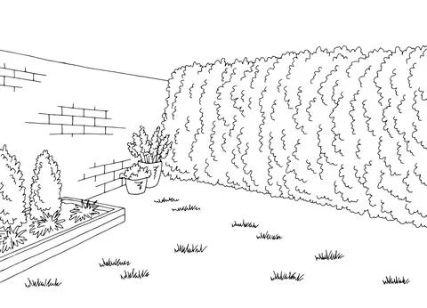 Backyard garden graphic black white sketch illustration vector Stock Illustration