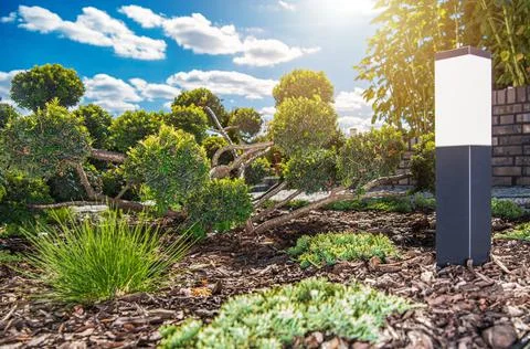 Backyard Garden Lighting 스톡 사진