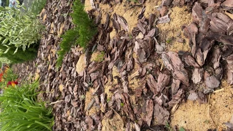 Backyard Garden Modern Designed Landscaping. Stock Footage 310142771