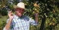 Backyard Garden Pear Tree Orchard Man Gardening Bio Harvest Ok Sign Proud Farmer 4k or 4k+ Resolution