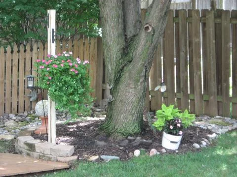 Backyard garden Stock Photos