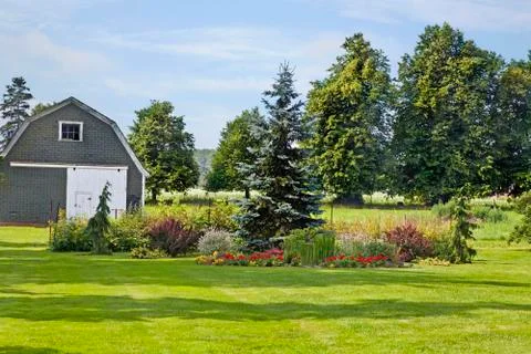 Backyard garden Stock Photos
