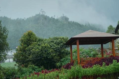 Backyard garden Stock Photos