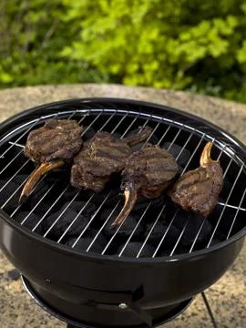 Backyard grill Stock Photos