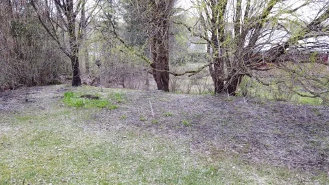 Backyard hail storm in springtime, Finland Stock Footage 130957052